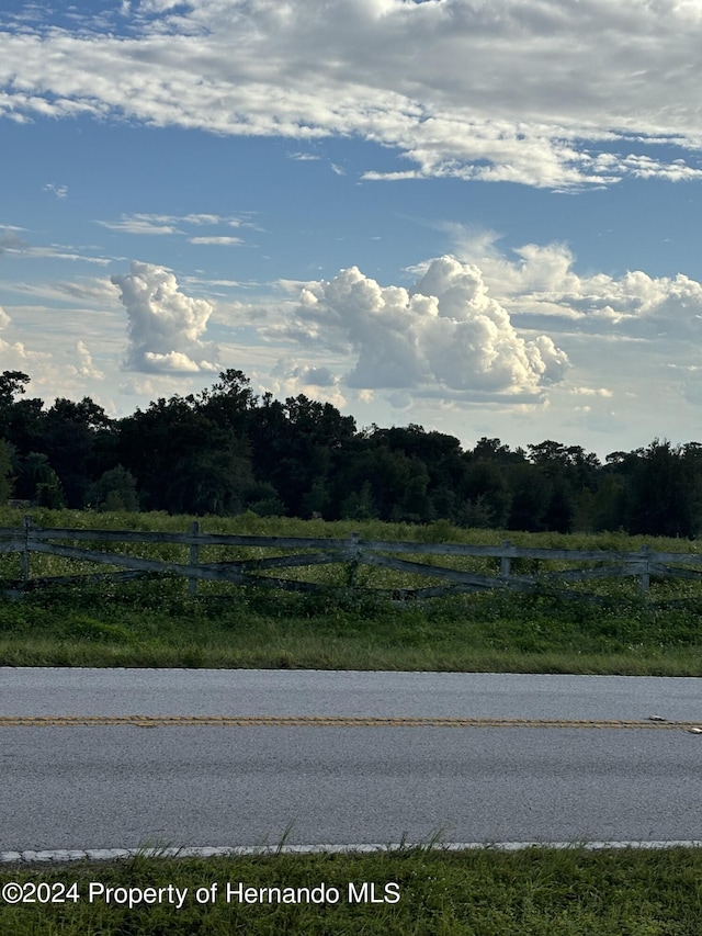 22380 Powell Rd, Brooksville, FL 34602 - photo 1