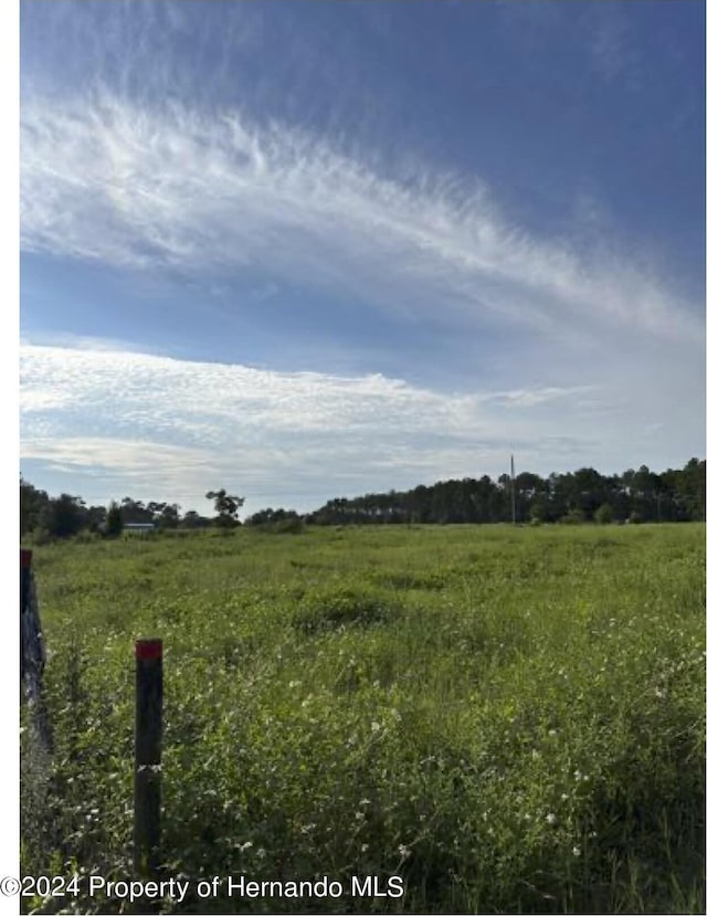 22380 Powell Rd, Brooksville, FL 34602 - photo 2