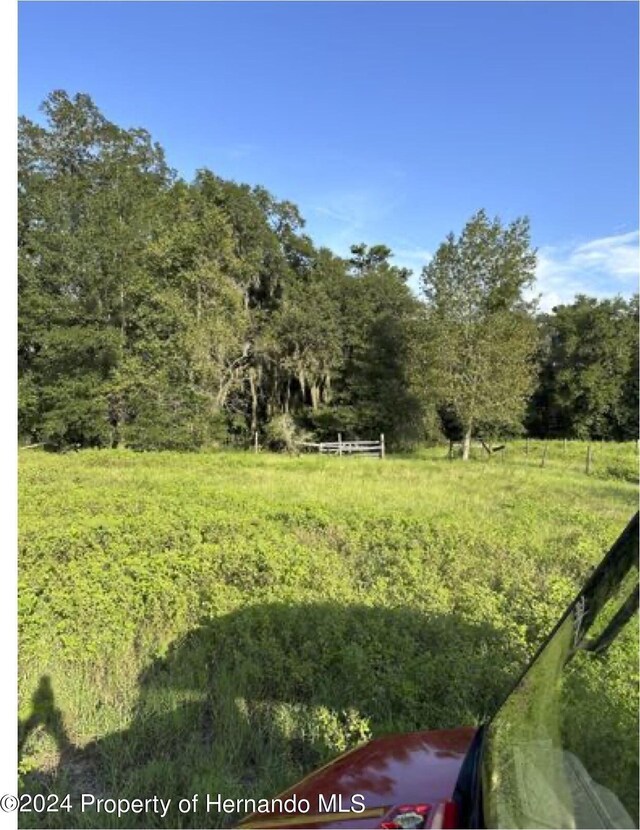 22380 Powell Rd, Brooksville, FL 34602 - photo 3