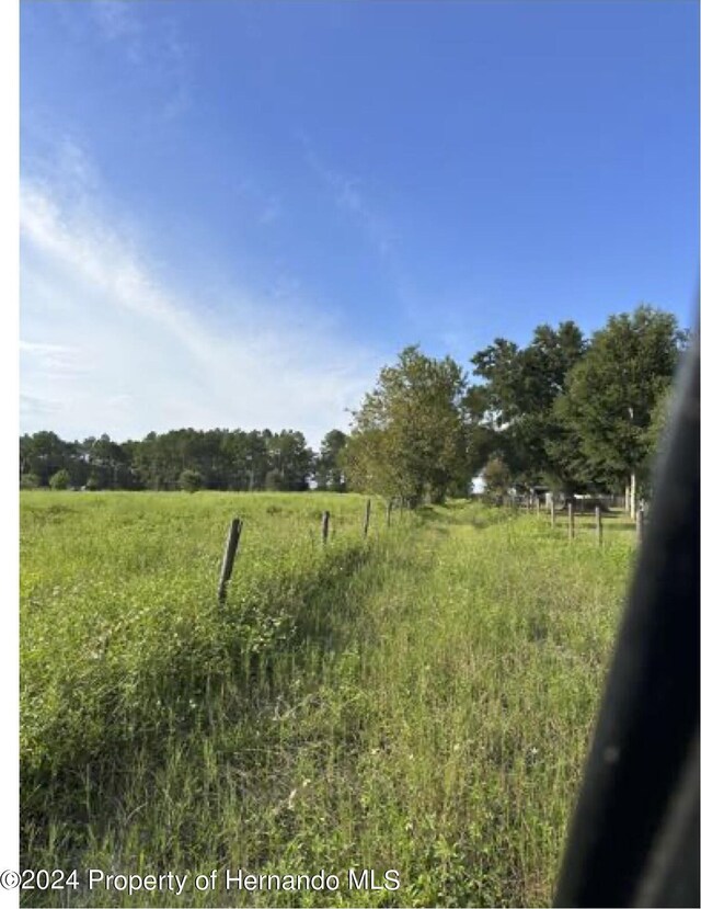22380 Powell Rd, Brooksville, FL 34602 - photo 4
