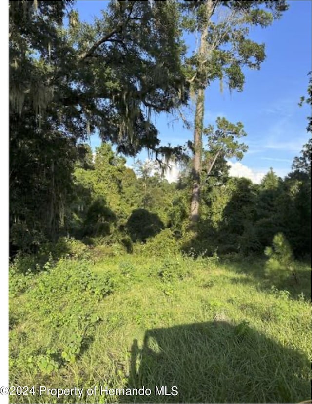 22380 Powell Rd, Brooksville, FL 34602 - photo 5