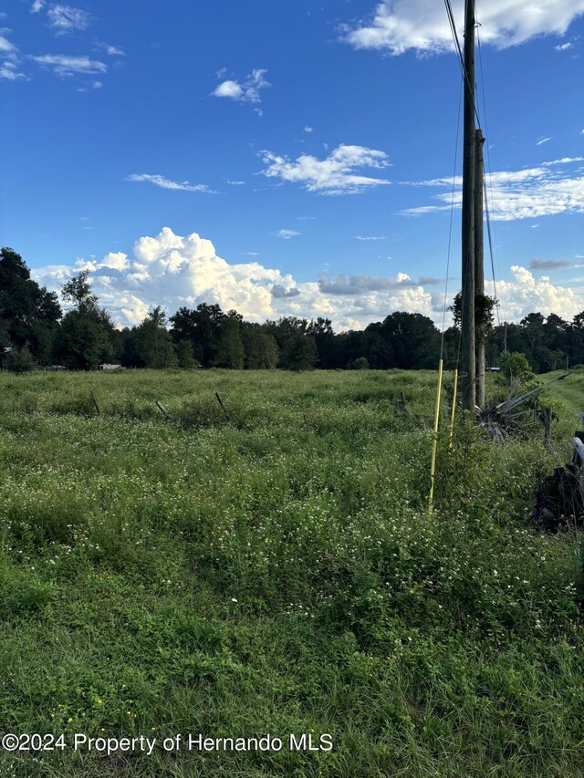 22380 Powell Rd, Brooksville, FL 34602 - photo 6