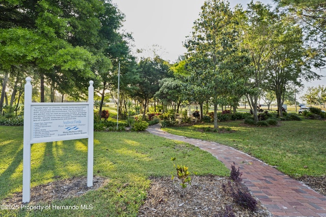 11250 Hollander Ave, Hudson, FL 34667 - view of home's community featuring a lawn