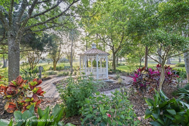 11250 Hollander Ave, Hudson, FL 34667 - surrounding community with a gazebo