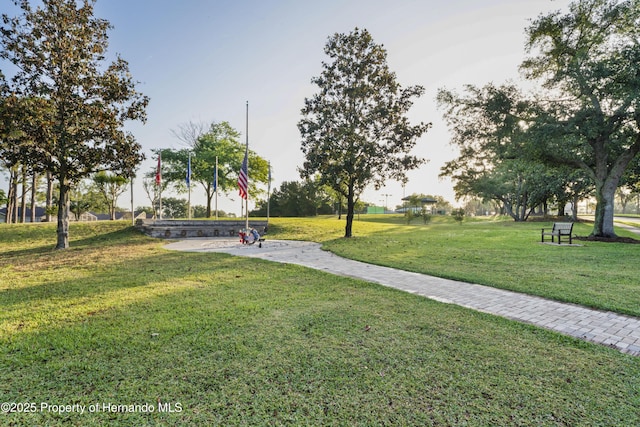 11250 Hollander Ave, Hudson, FL 34667 - surrounding community with a yard