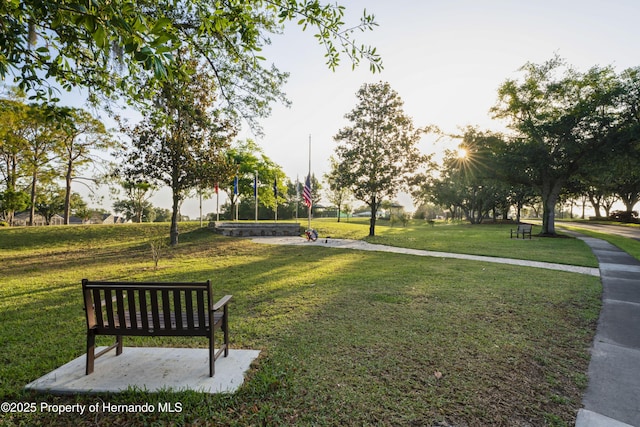 11250 Hollander Ave, Hudson, FL 34667 - view of community with a lawn