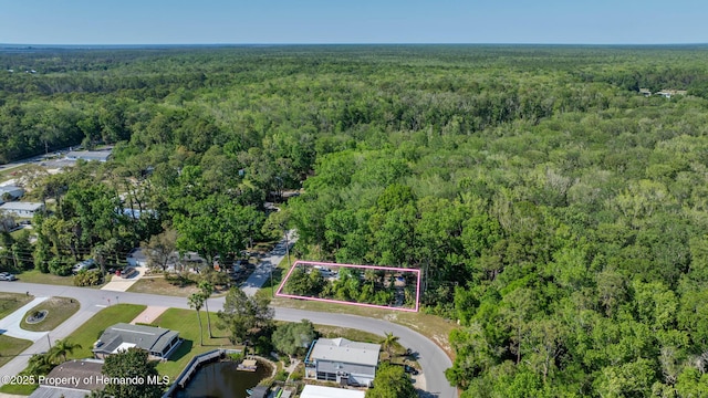 7443 Gettysburg Dr, Weeki Wachee, FL 34607