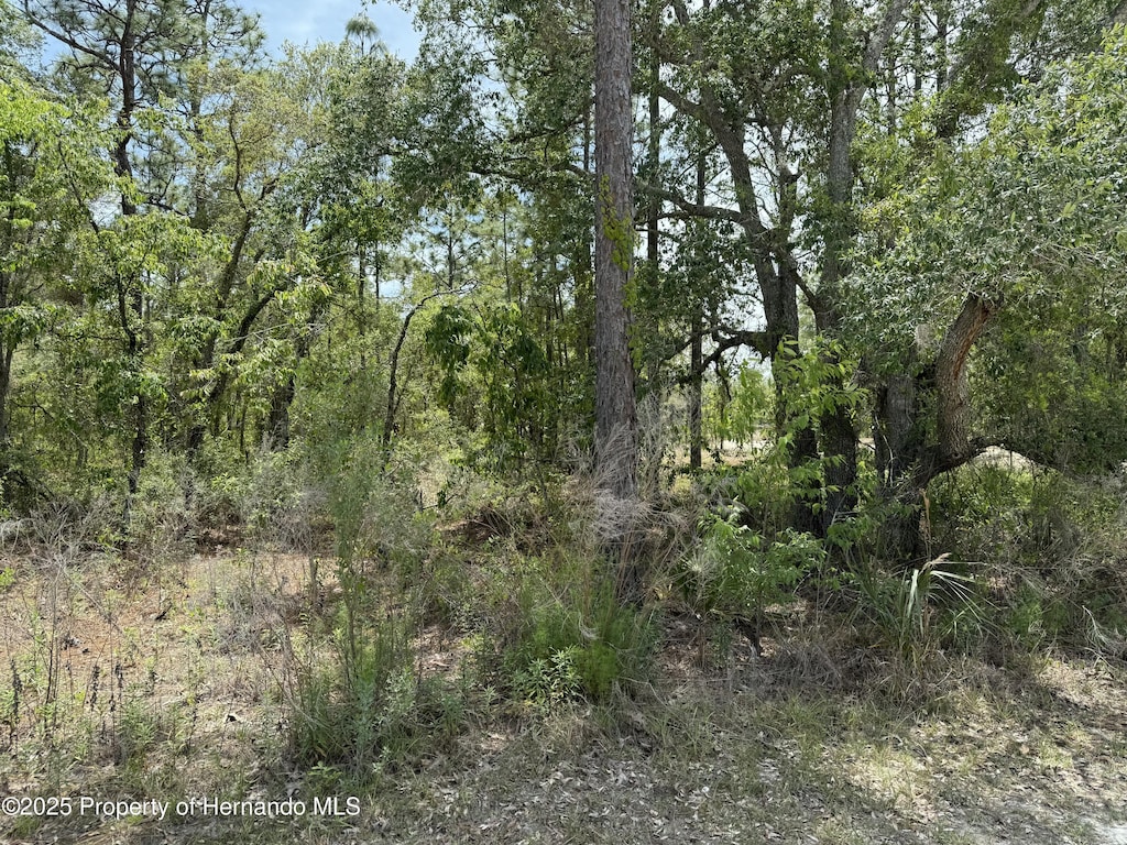 0 Snow Goose Ave, Brooksville, FL 34614 - photo 1