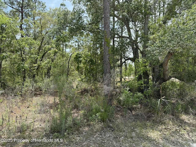 0 Snow Goose Ave, Brooksville, FL 34614 - photo 1