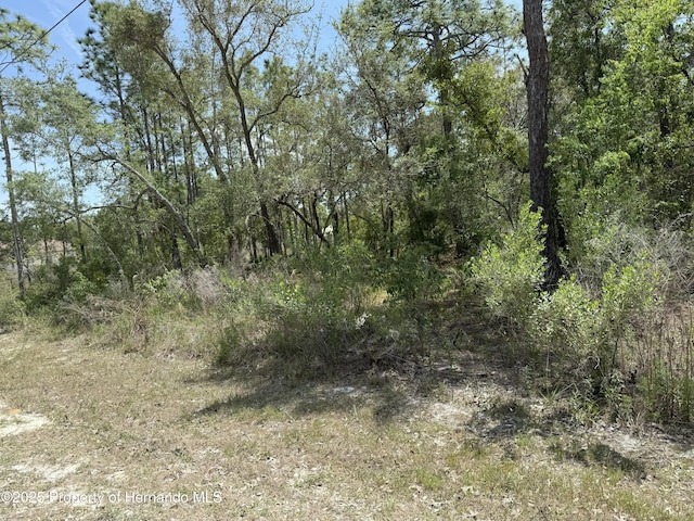 0 Snow Goose Ave, Brooksville, FL 34614 - photo 3