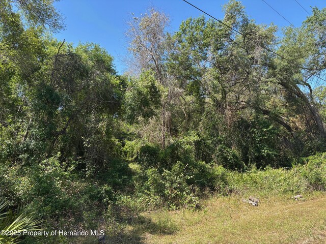LOT175C Madison Ave, Dade City, FL 33523 - photo 5