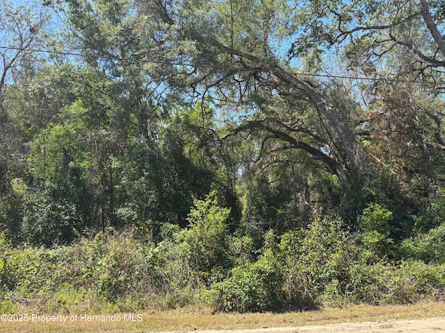 LOT175C Madison Ave, Dade City, FL 33523 - photo 4