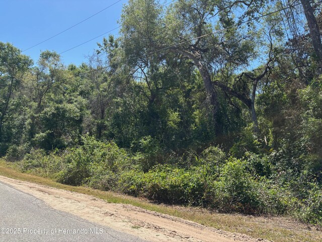 LOT175C Madison Ave, Dade City, FL 33523 - photo 3