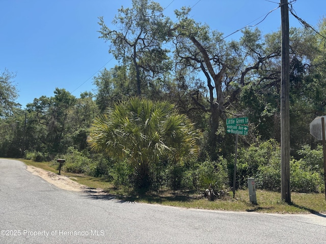 LOT175C Madison Ave, Dade City, FL 33523 - photo 2