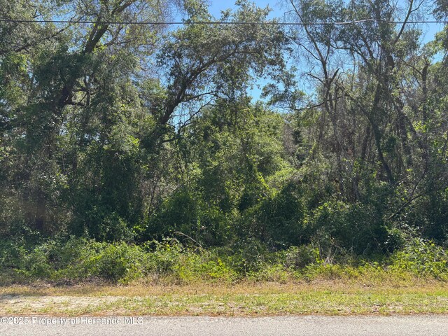 LOT175C Madison Ave, Dade City, FL 33523 - photo 8