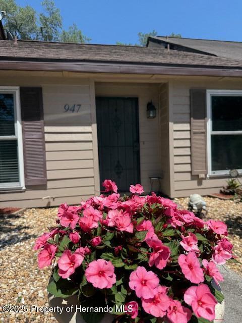 947 Village Dr, Brooksville, FL 34601 - view of exterior entry
