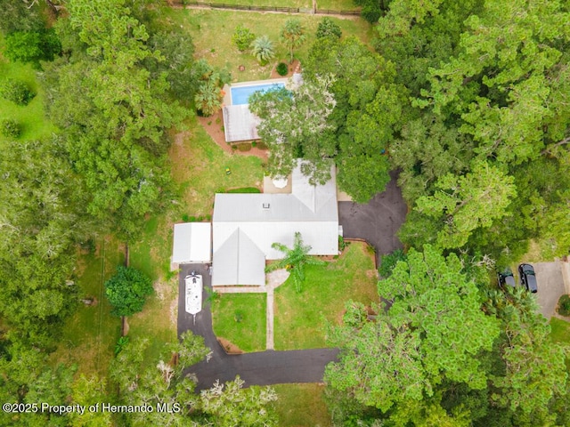 aerial view