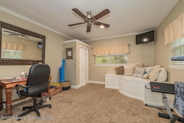 carpeted office space with a ceiling fan, baseboards, ornamental molding, and a healthy amount of sunlight