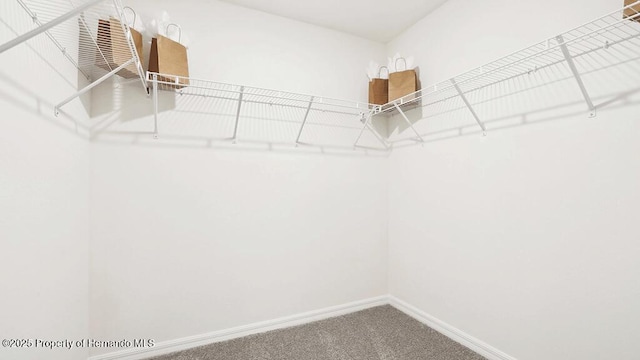 spacious closet with carpet floors