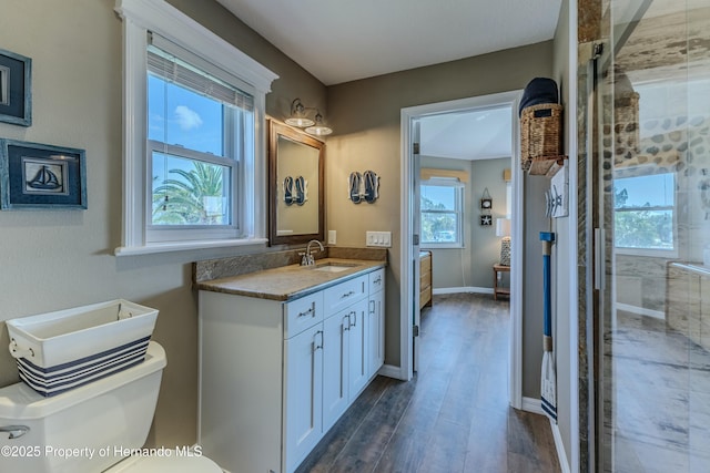 4285 Flexer Dr, Hernando Beach, FL 34607 - bathroom with wood finished floors, vanity, a stall shower, and plenty of natural light