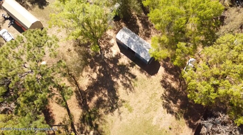 6647 W Van Buren Dr, Homosassa, FL 34448 - photo 3