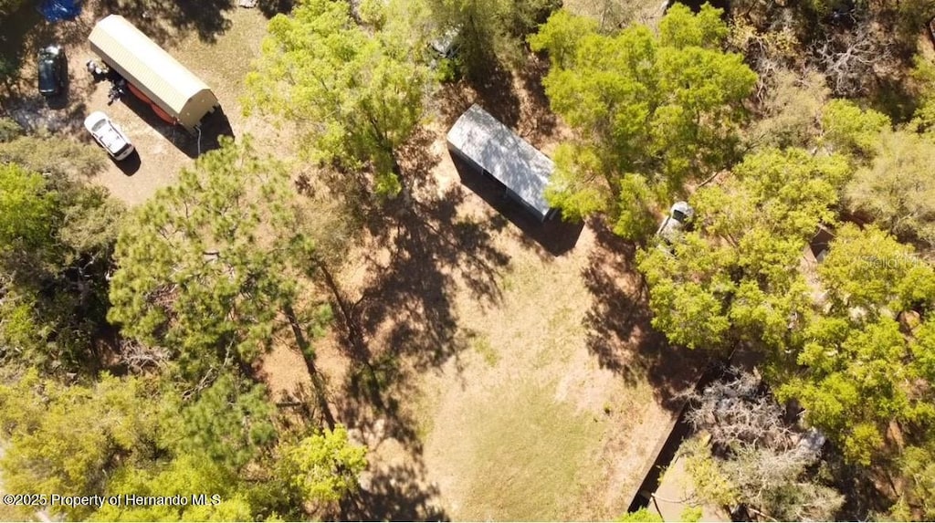 6647 W Van Buren Dr, Homosassa, FL 34448 - photo 4