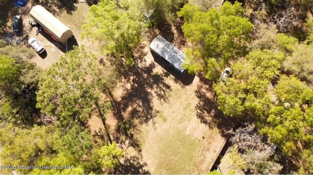 6647 W Van Buren Dr, Homosassa, FL 34448 - photo 4