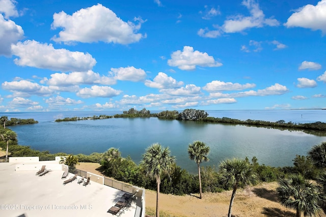 6009 Sea Ranch Dr Unit 414E, Hudson, FL 34667 - photo 25