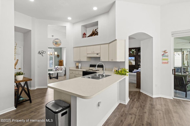 262 W Romany Loop, Beverly Hills, FL 34465 - kitchen featuring dark wood-style floors, under cabinet range hood, light countertops, a sink, and arched walkways