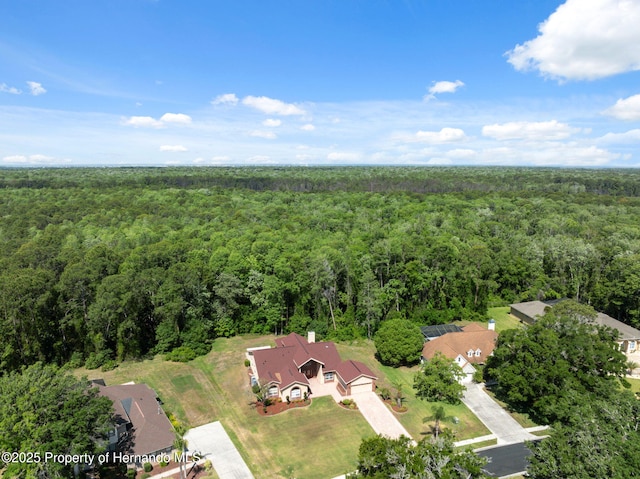 4469 Lake In The Woods Dr, Weeki Wachee, FL 34607 - aerial view with a view of trees