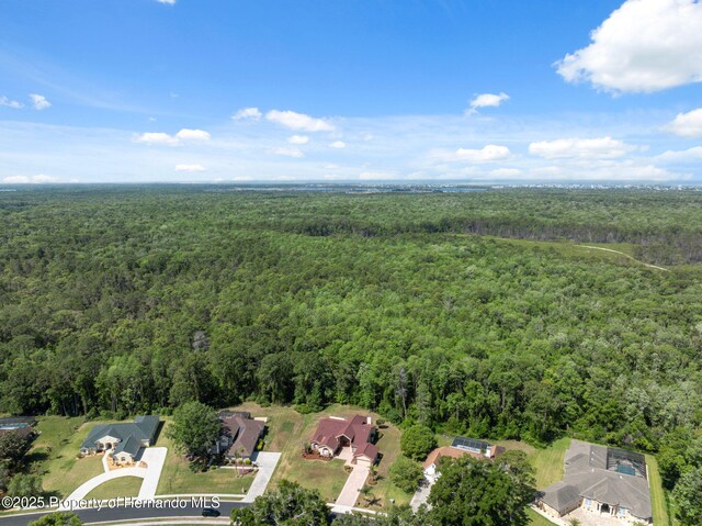 4469 Lake In The Woods Dr, Weeki Wachee, FL 34607 - birds eye view of property featuring a wooded view