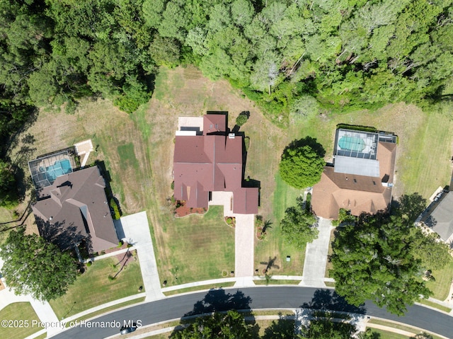 4469 Lake In The Woods Dr, Weeki Wachee, FL 34607 - aerial view