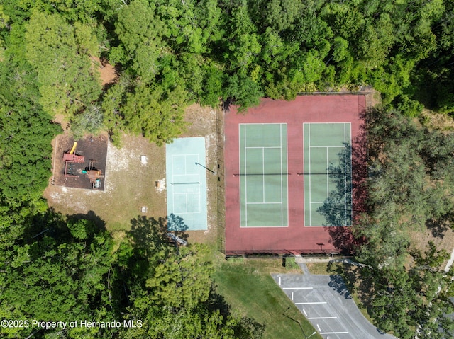 4469 Lake In The Woods Dr, Weeki Wachee, FL 34607 - drone / aerial view