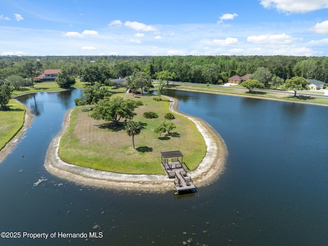4469 Lake In The Woods Dr, Weeki Wachee, FL 34607 - bird's eye view with a water view