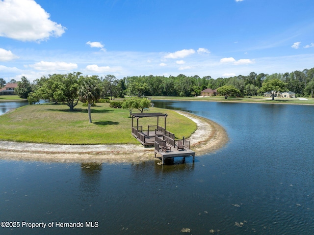 4469 Lake In The Woods Dr, Weeki Wachee, FL 34607 - property view of water