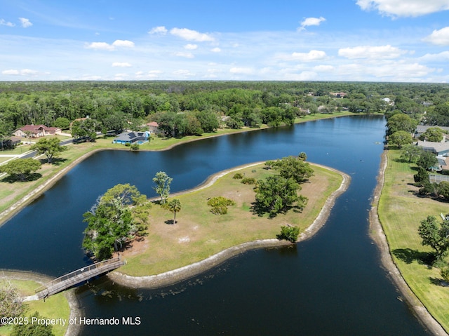 4469 Lake In The Woods Dr, Weeki Wachee, FL 34607 - birds eye view of property with a wooded view and a water view