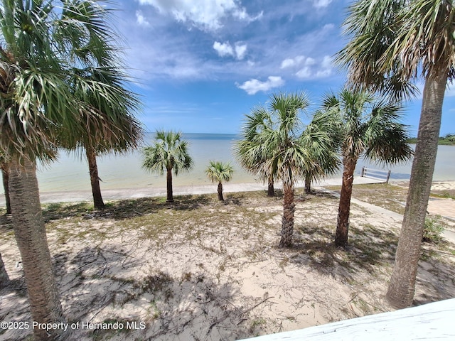 3461 Gum Dr, Weeki Wachee, FL 34607 - photo 2