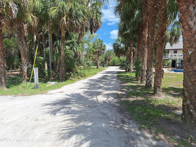 3461 Gum Dr, Weeki Wachee, FL 34607 - photo 7