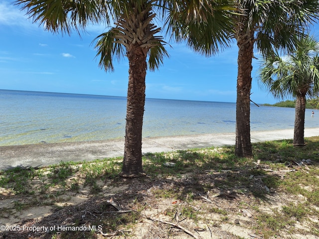 3461 Gum Dr, Weeki Wachee, FL 34607 - photo 44