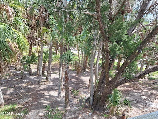 3461 Gum Dr, Weeki Wachee, FL 34607 - photo 60