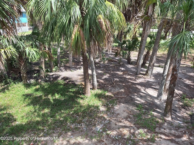 3461 Gum Dr, Weeki Wachee, FL 34607 - photo 74