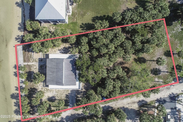 3461 Gum Dr, Weeki Wachee, FL 34607 - photo 76