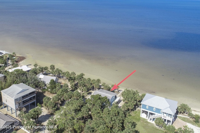 3461 Gum Dr, Weeki Wachee, FL 34607 - photo 80