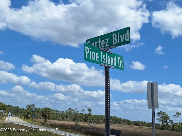 3461 Gum Dr, Weeki Wachee, FL 34607 - photo 81