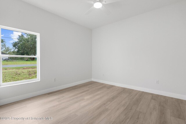 12331 Fulmar Rd, Weeki Wachee, FL 34614 - photo 29