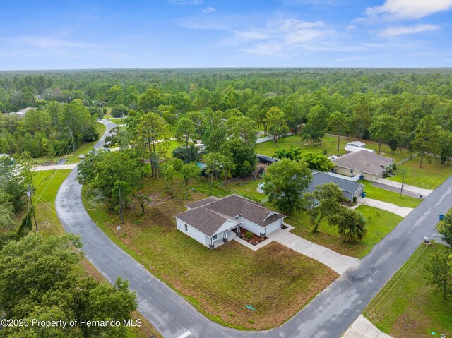 12331 Fulmar Rd, Weeki Wachee, FL 34614 - photo 39