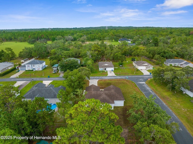 12331 Fulmar Rd, Weeki Wachee, FL 34614 - photo 42
