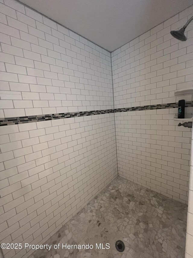 15297 Myland Rd, Weeki Wachee, FL 34614 - bathroom featuring tiled shower