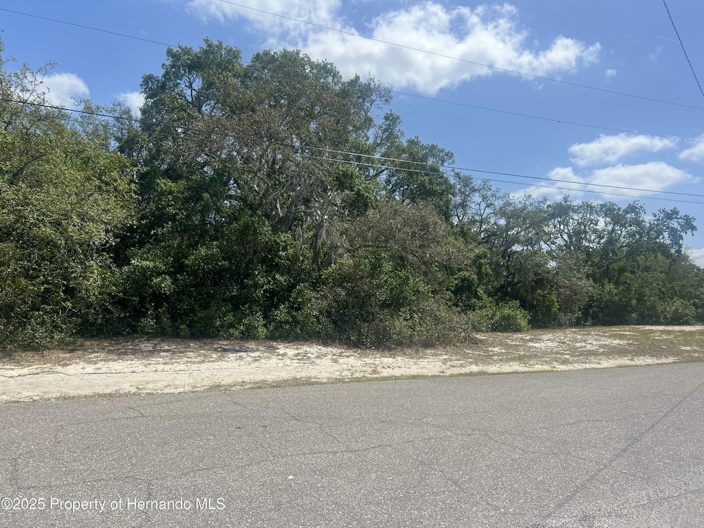 0 Clearwater, Spring Hill, FL 34606