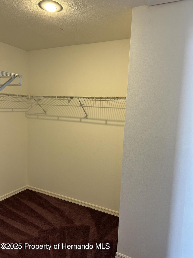 10519 Audie Brook Dr, Spring Hill, FL 34608 - spacious closet featuring dark carpet
